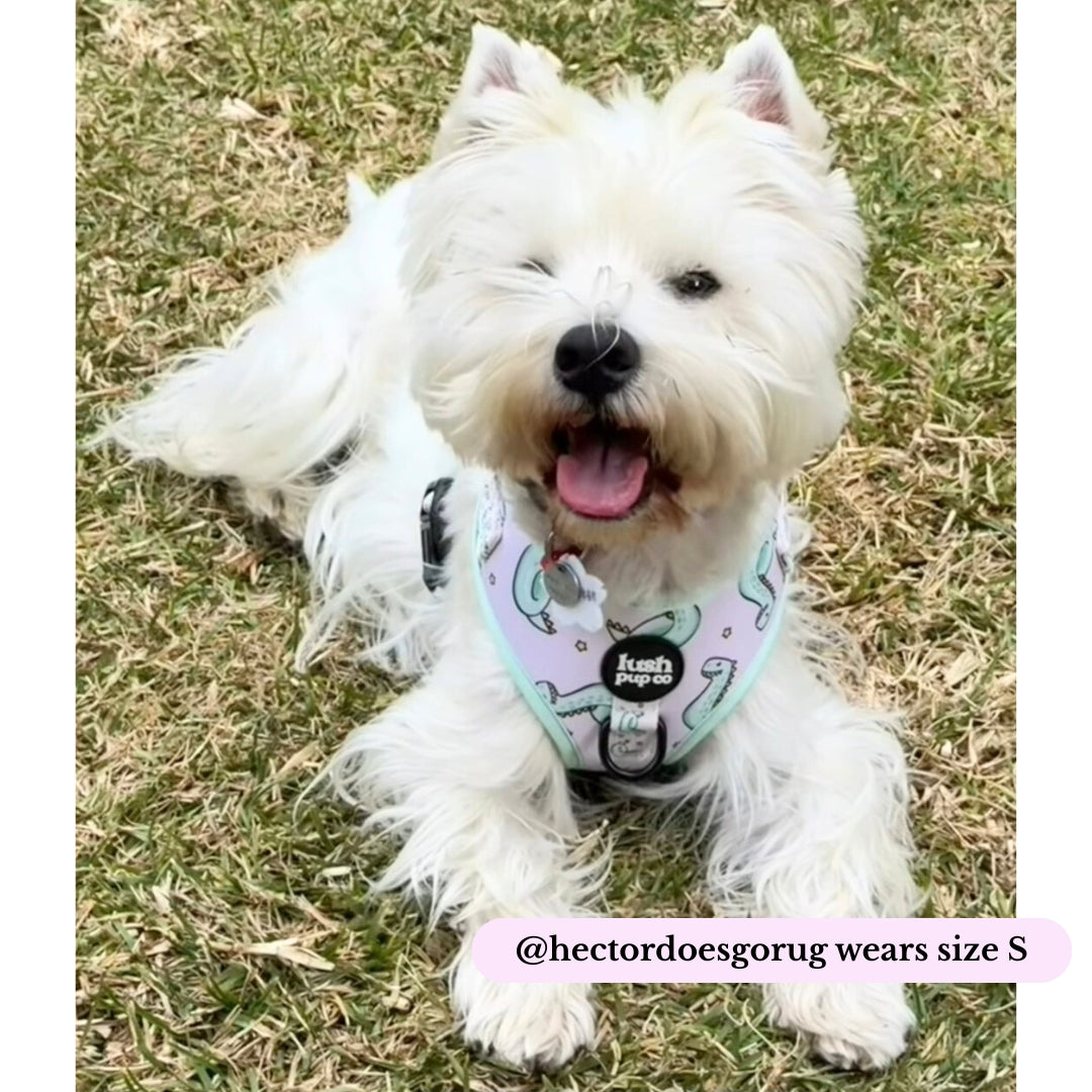 Dino Dip Adjustable Harness