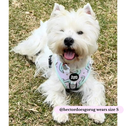 Dino Dip Adjustable Harness