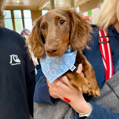 Dino Party Reversible Dog Bandana