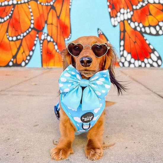 Reach For The Sky Bow Tie