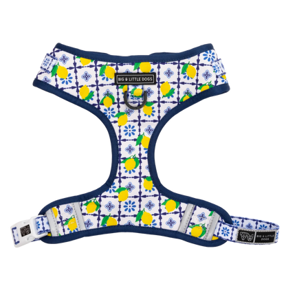 Amalfi Coast Adjustable Harness