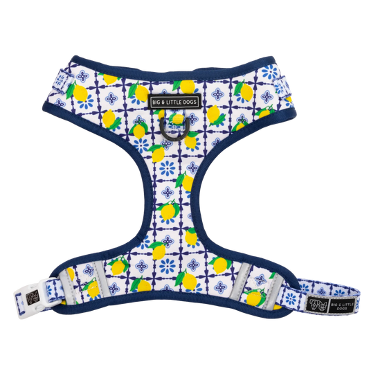 Amalfi Coast Adjustable Harness
