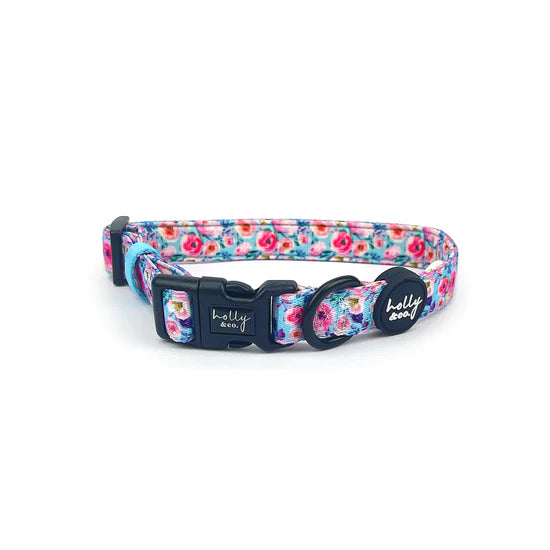 Ok, Bloomer Collar
