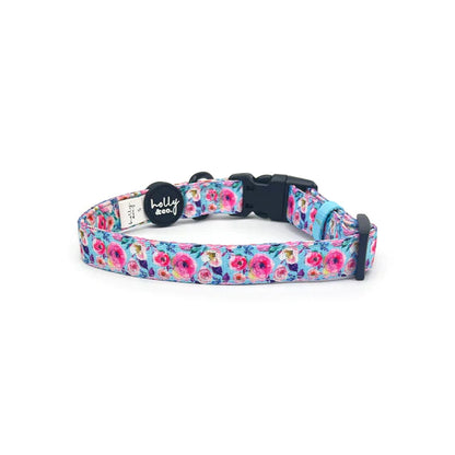 Ok, Bloomer Collar