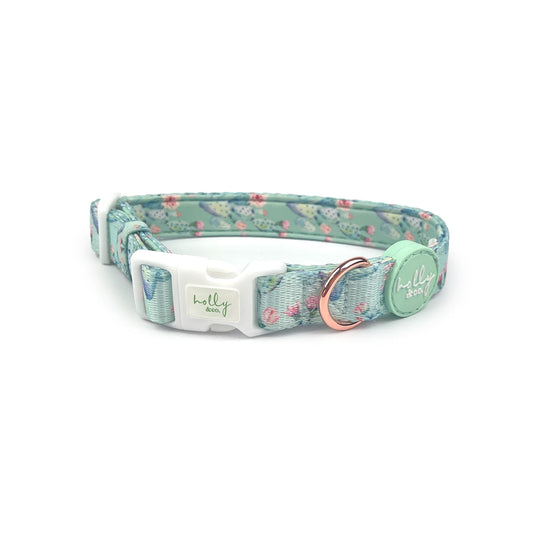 Pretty Fly For A Cacti Collar