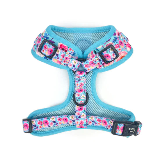Ok, Bloomer Harness