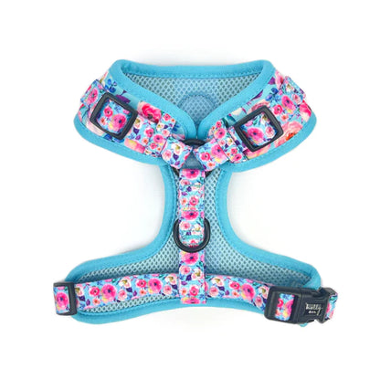 Ok, Bloomer Harness