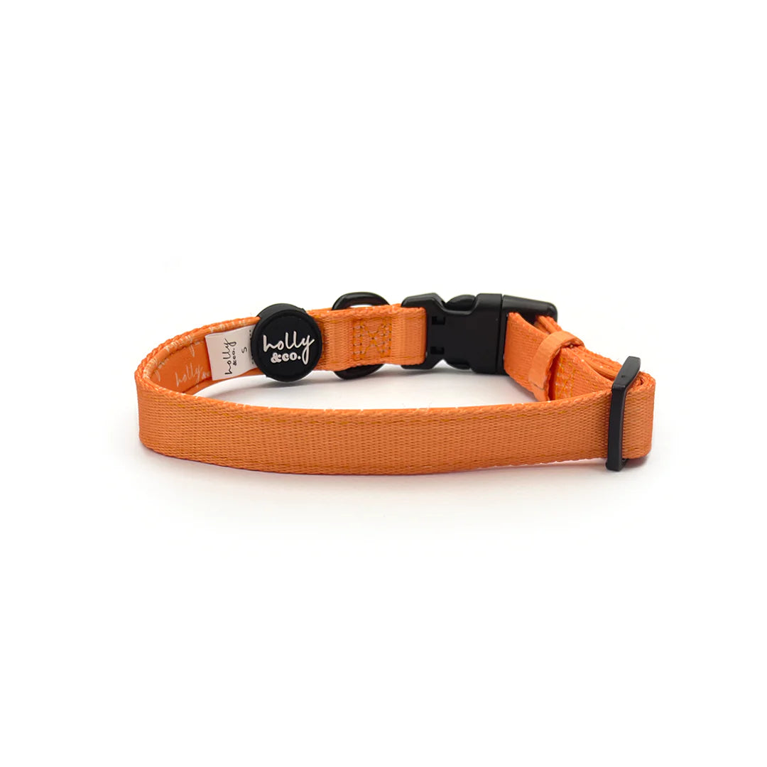 Blorange Collar