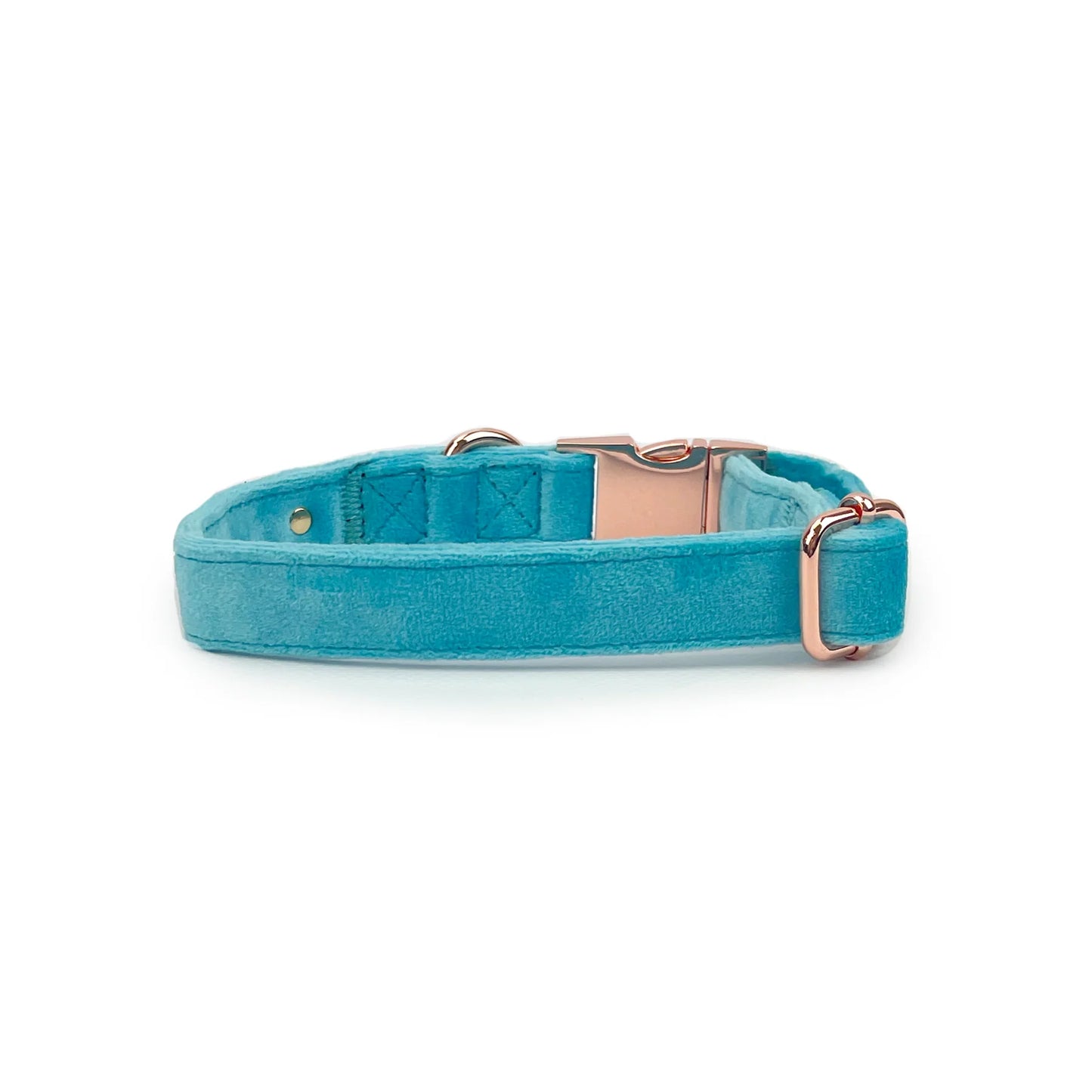 Caribbean Blue Velvet Collar
