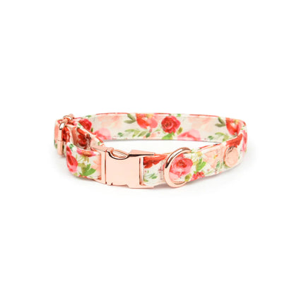 Holly Floral Velvet Collar