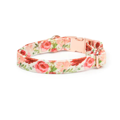 Holly Floral Velvet Collar