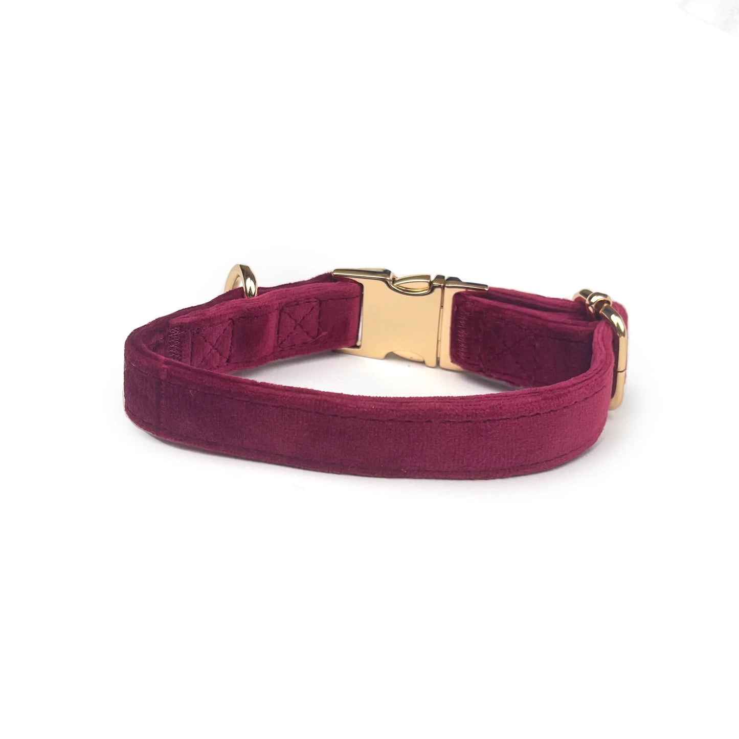 Queen Bee Velvet Collar