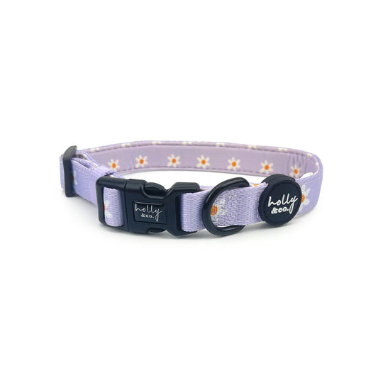 Daisies Of Our Lives Collar
