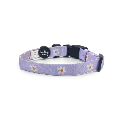 Daisies Of Our Lives Collar