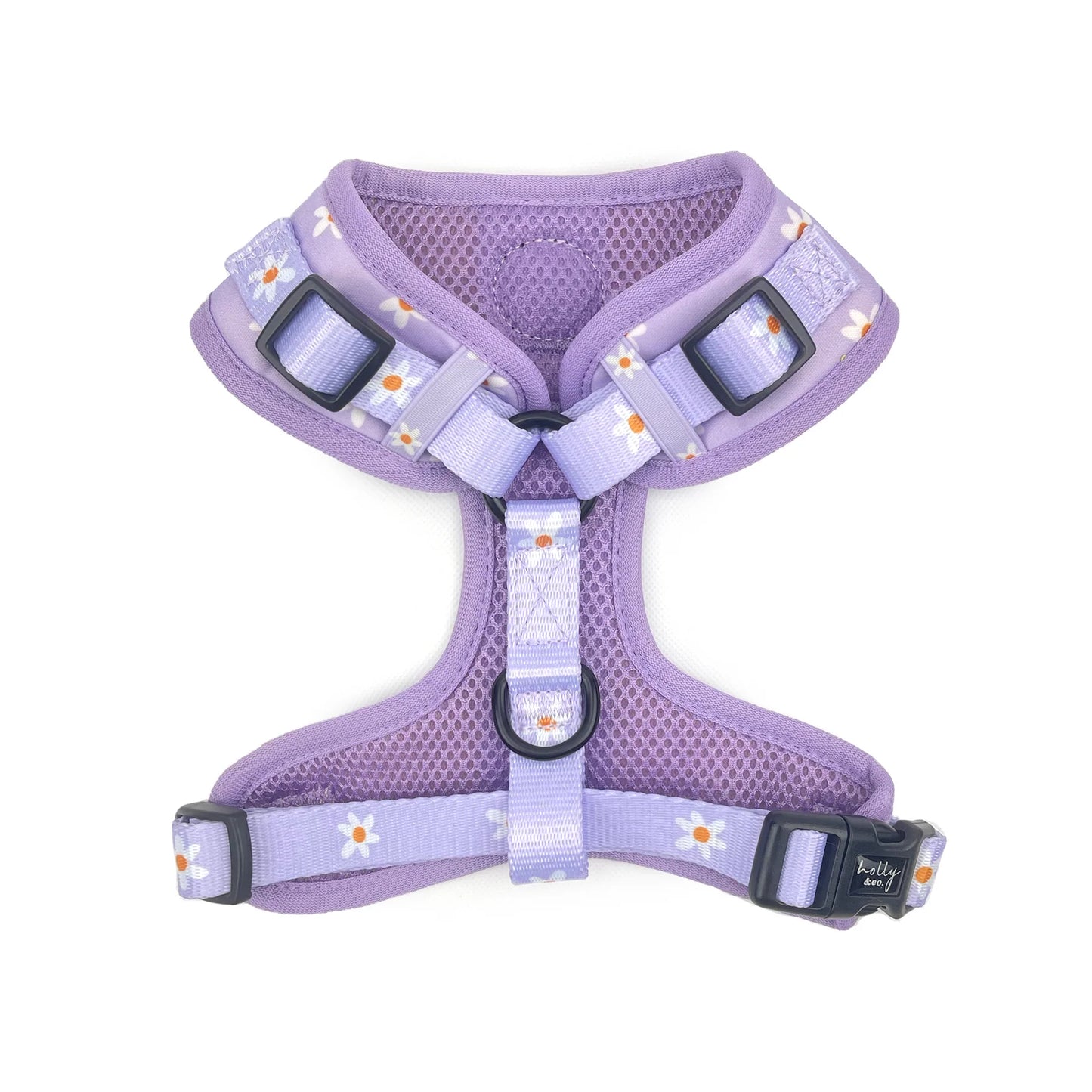 Daisies Of Our Lives Harness