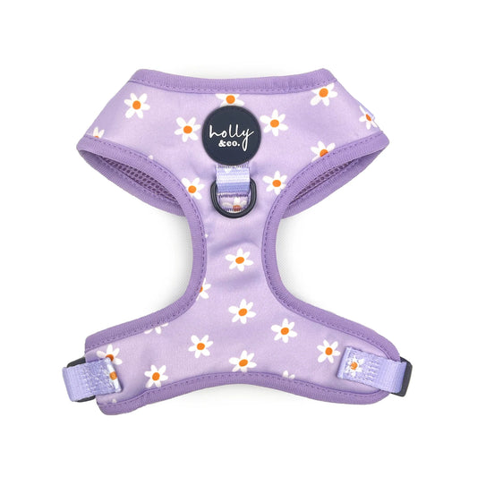 Daisies Of Our Lives Harness