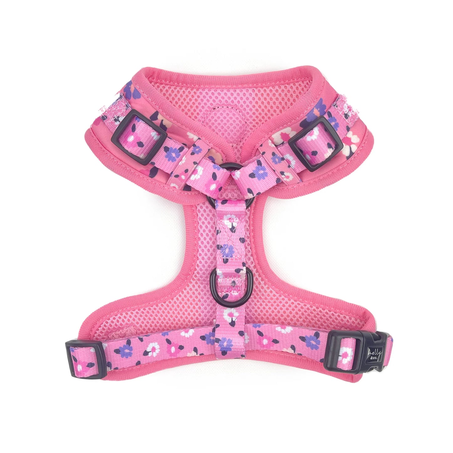 On Wednesday's Harness